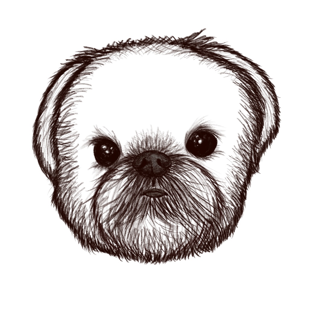 ぶりゅっせるグリフォン