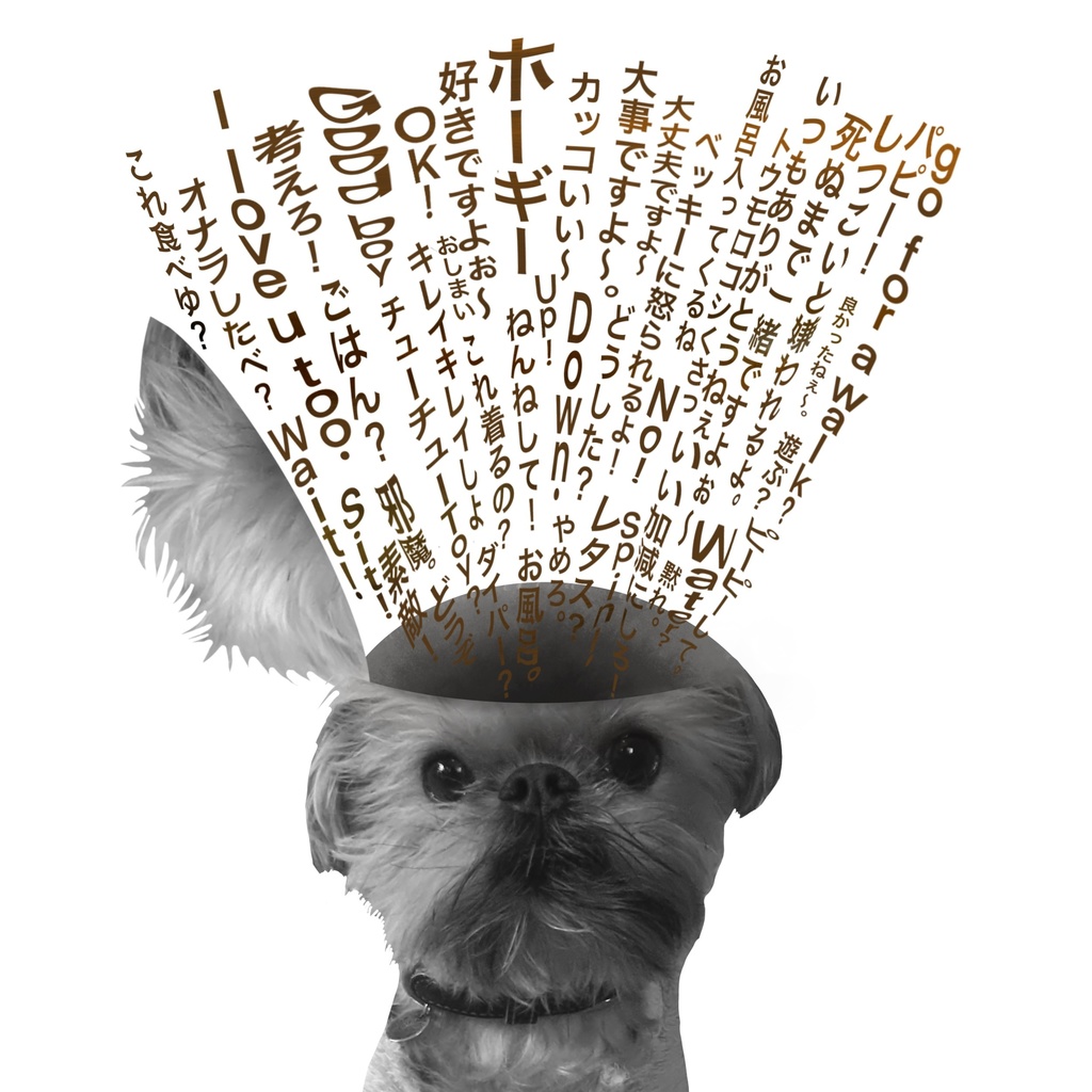 うちの犬の脳内