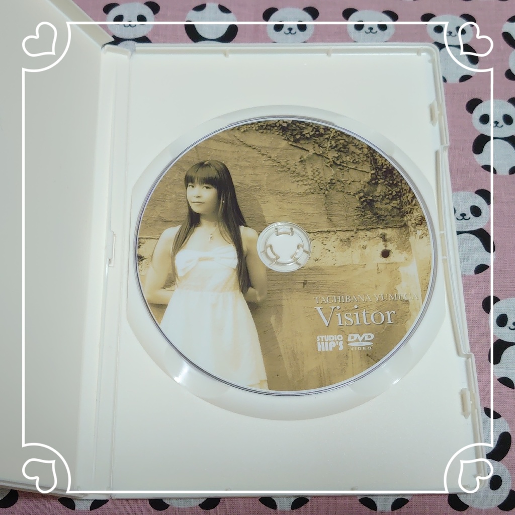 【DVD写真集】Visitor