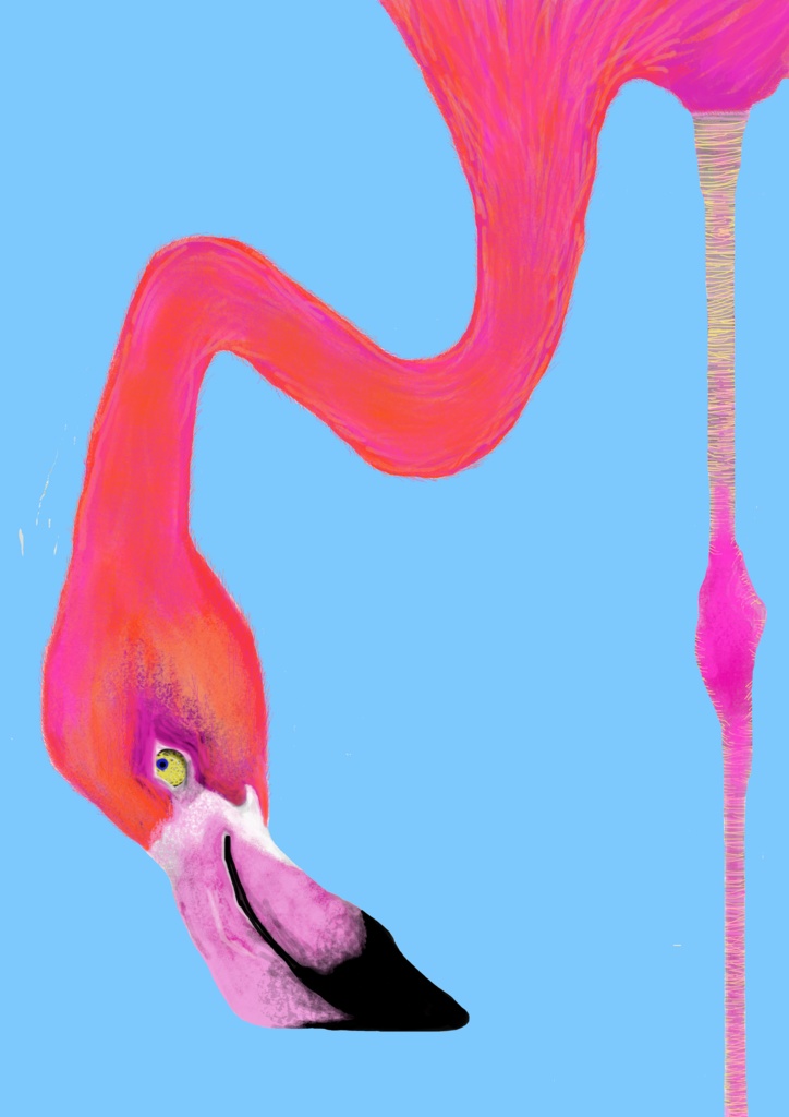 アフリカンシリーズ フラミンゴ