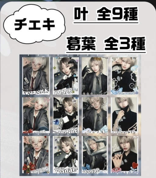 チェキ 【コンプ12枚セット】