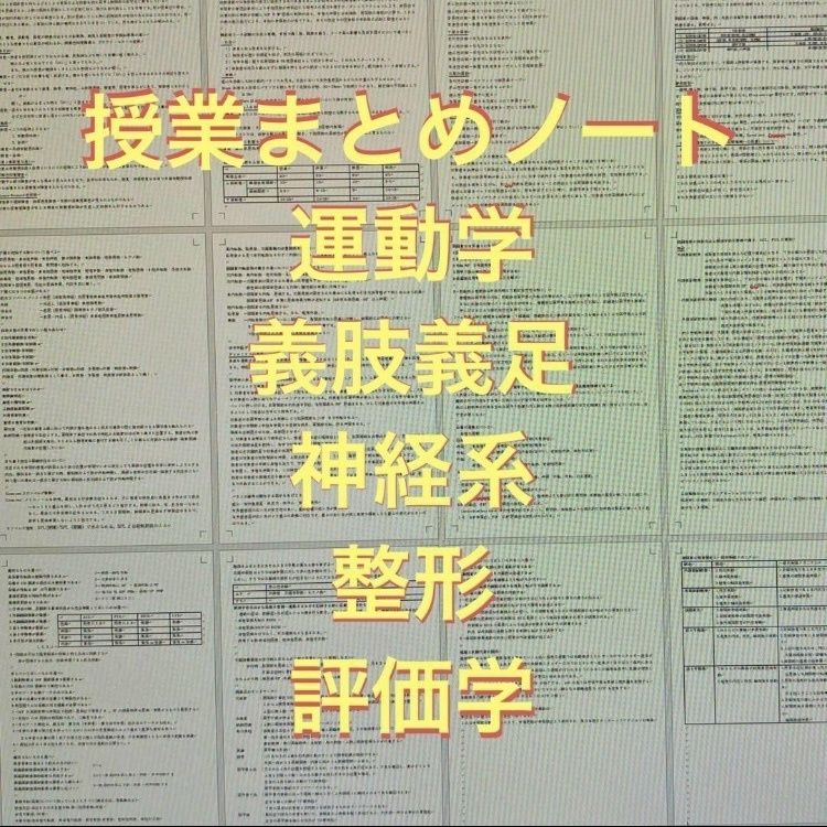 理学療法　授業まとめノート　運動学　義肢義足　神経系　整形　評価学　