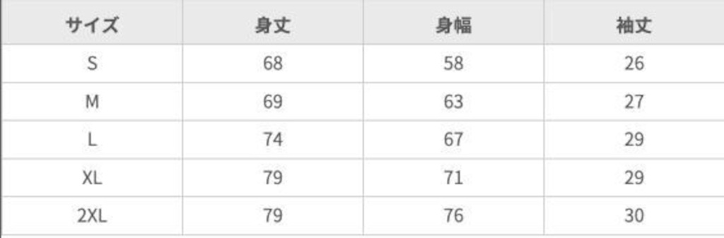 ギャラクシーパラケルスビッグTシャツ