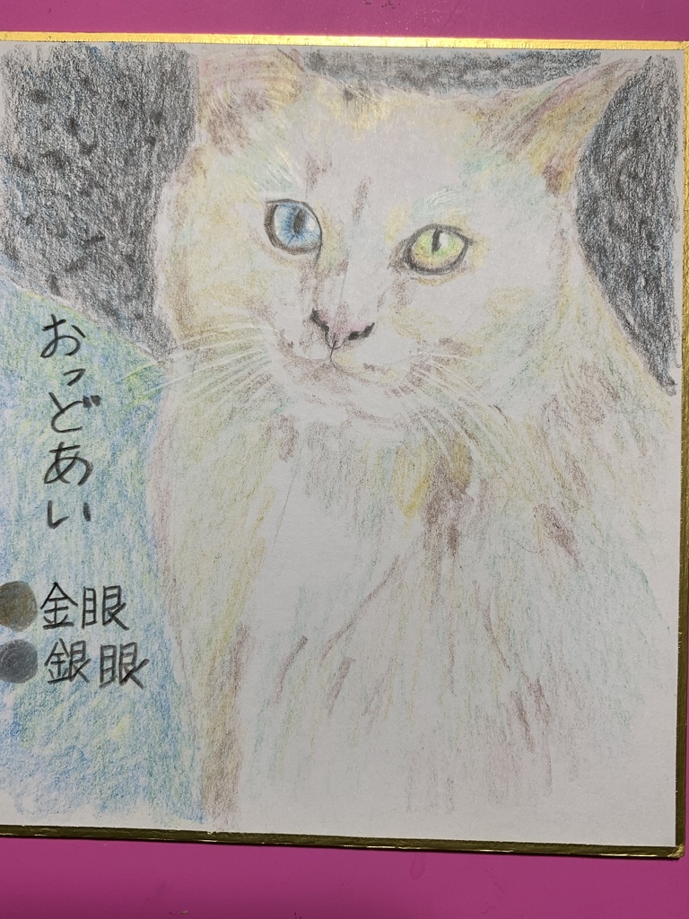 きんめぎんめねこのえ㉓