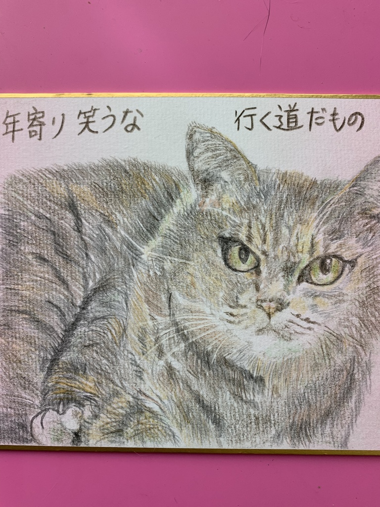 わらうなねこのえ㉛