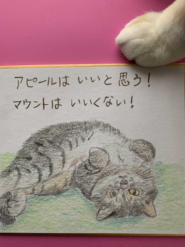 色鉛筆画 猫の絵 ㊲ - 絵画