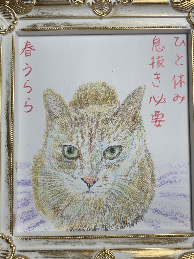 いきぬきねこのえ　　55