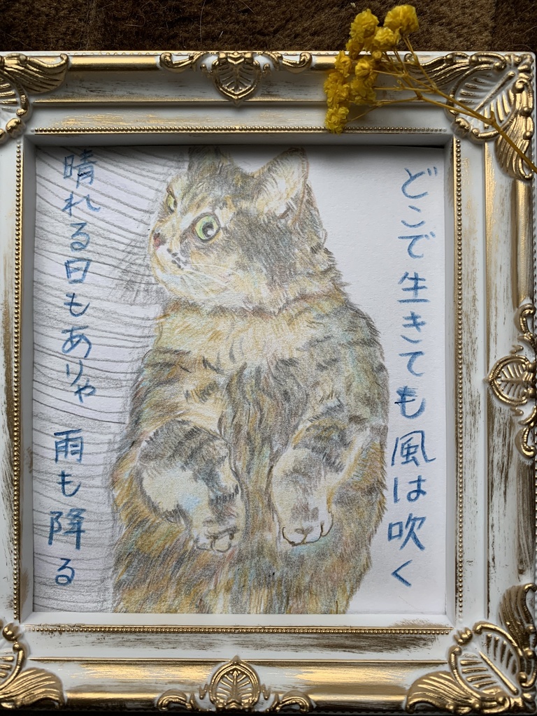 へそてんねこのえ　　59
