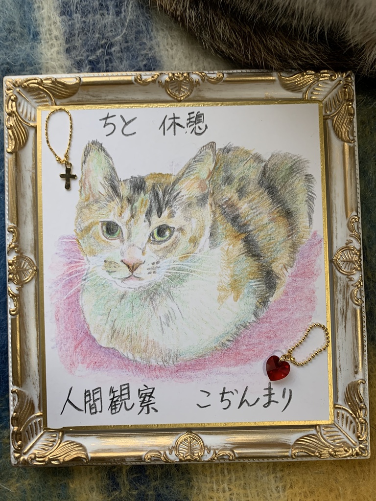 猫 絵画 子猫 イラスト 水彩色鉛筆画 原画 手書き 見つめる猫ちゃん