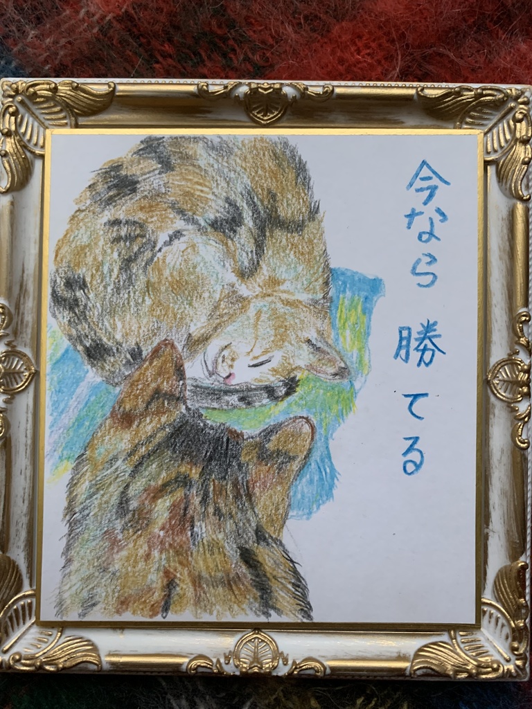 ちゃんすだねこのえ　　69