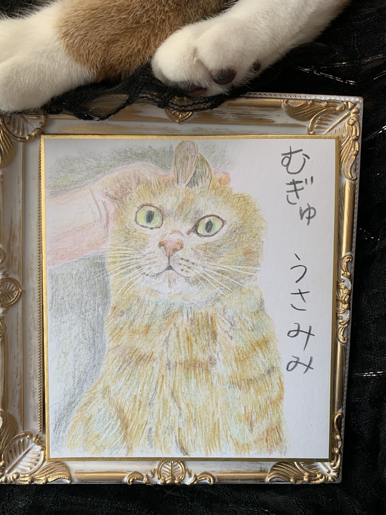 うさみみねこのえ　　72
