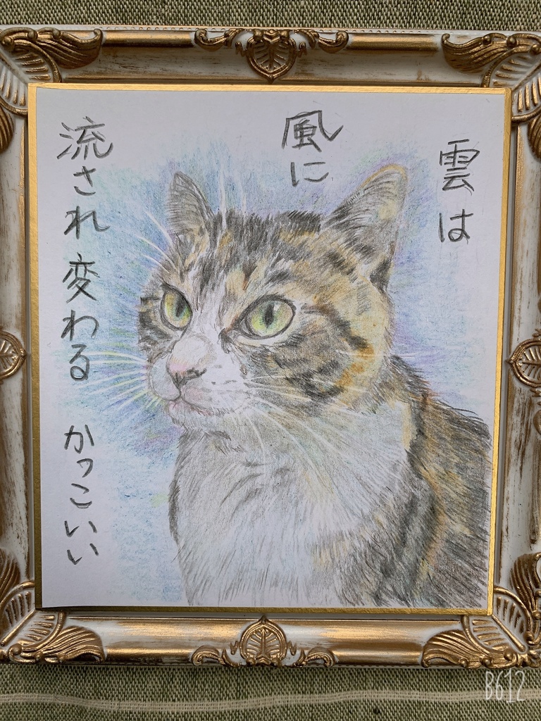 くもかっこいいねこのえ　　118