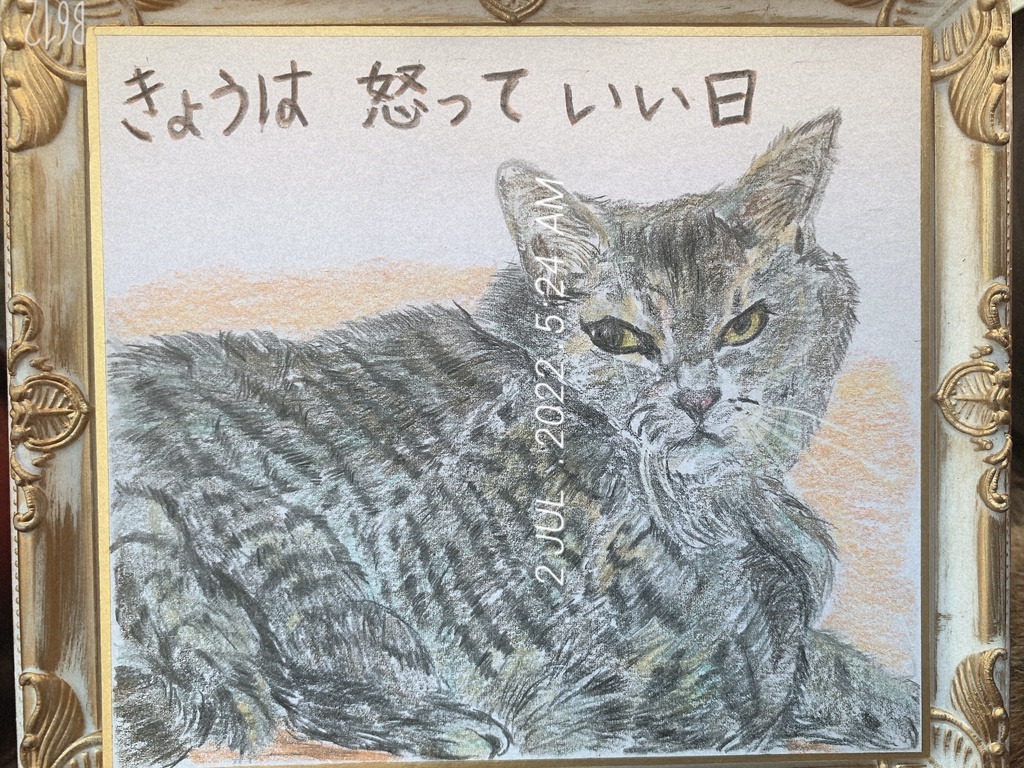てんてきねこのえ　　135