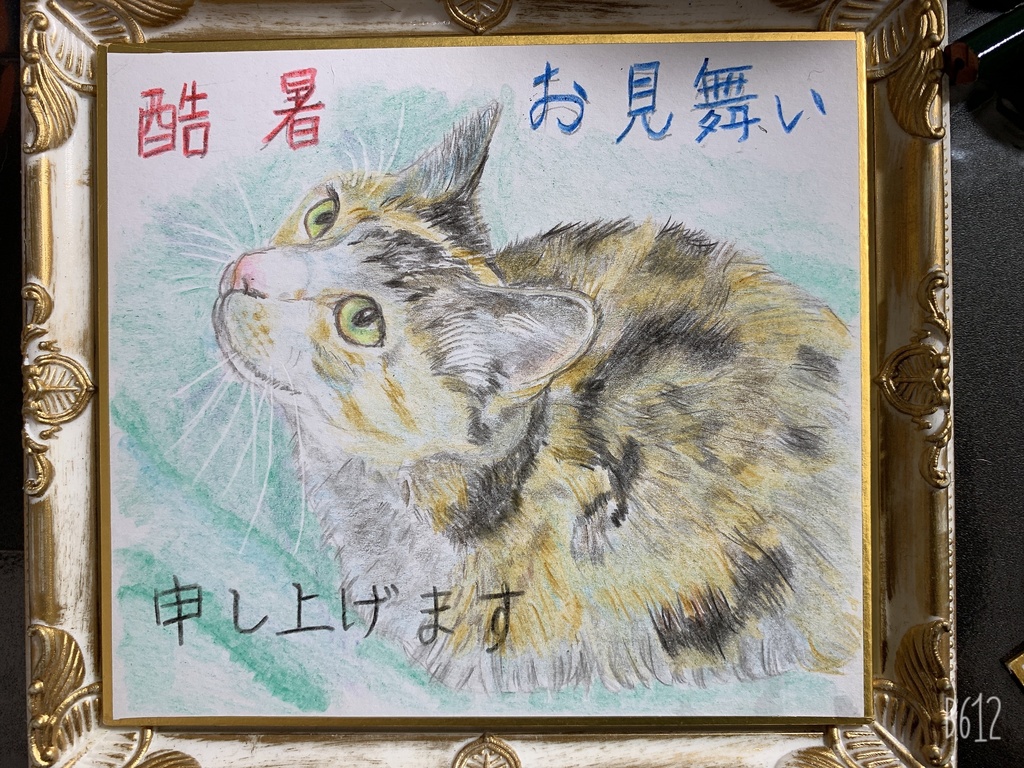 おみまいねこのえ　　157