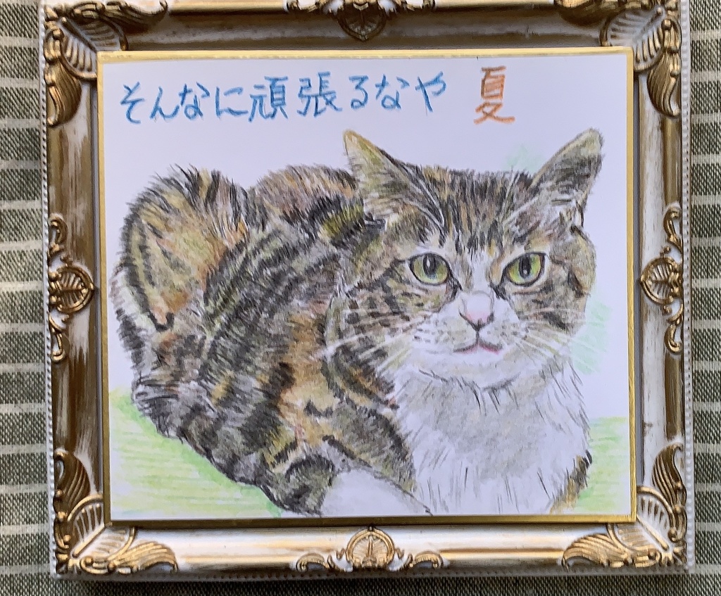 がんばらんねこのえ　　163