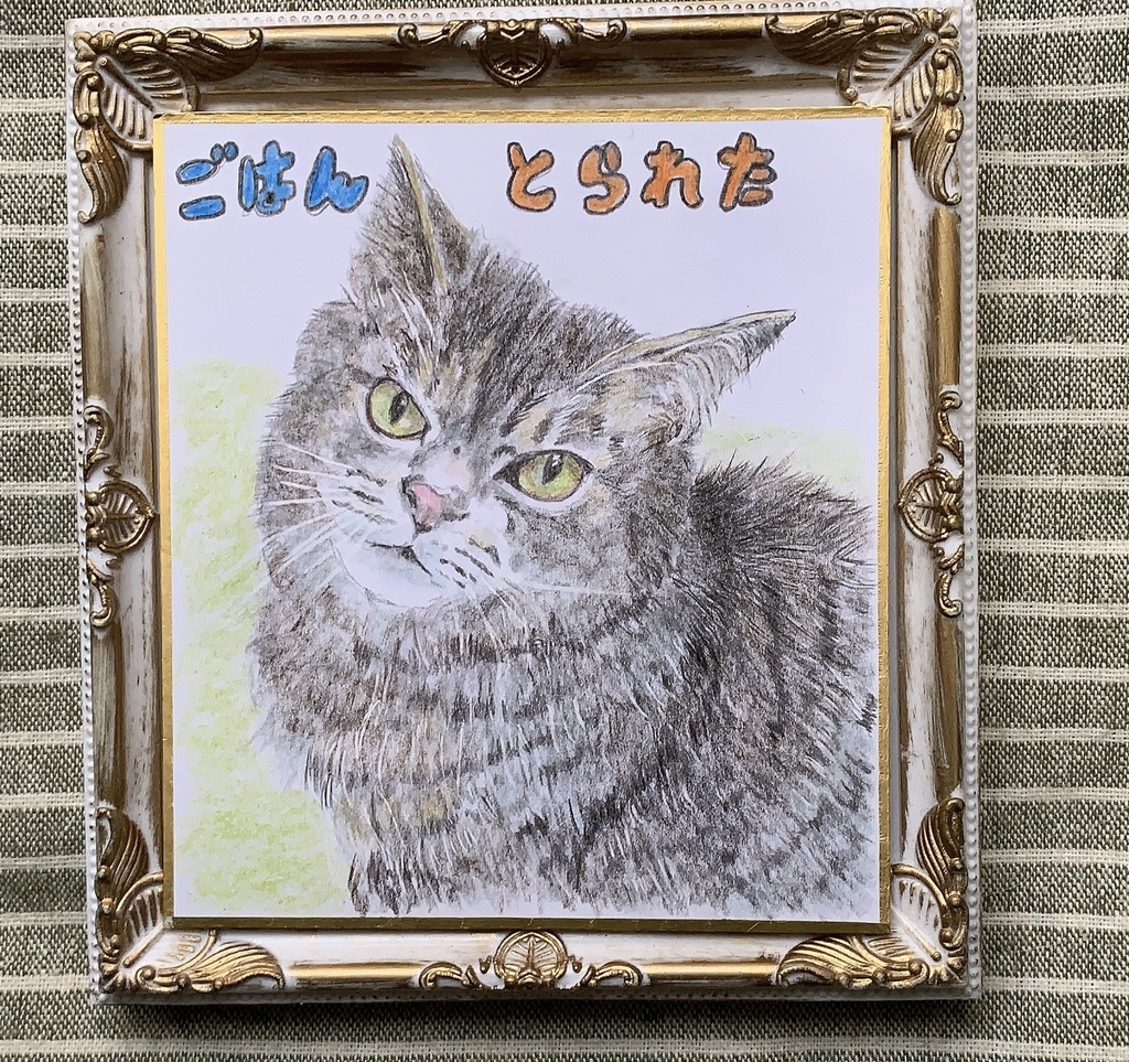 ごはんとられねこのえ　　167