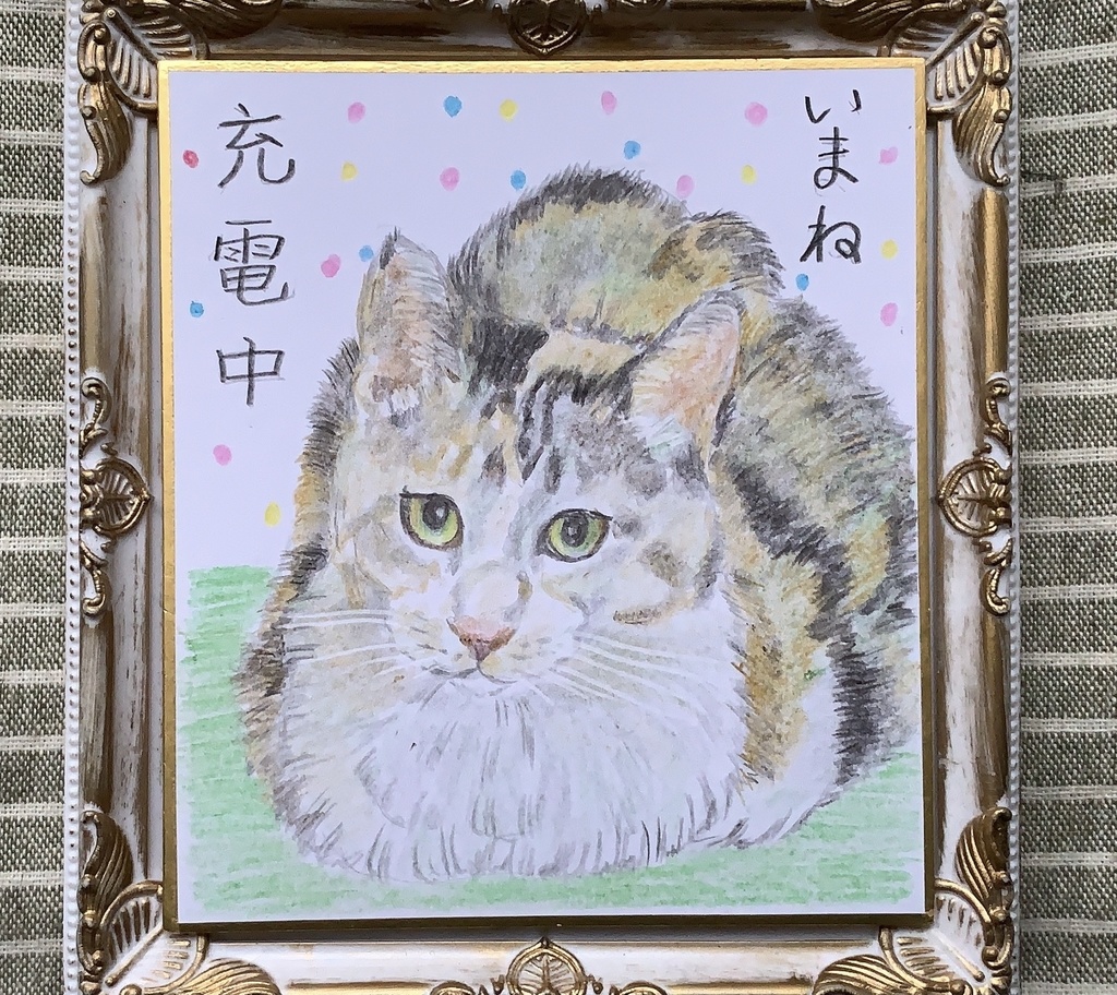 じゅうでんねこのえ　　171