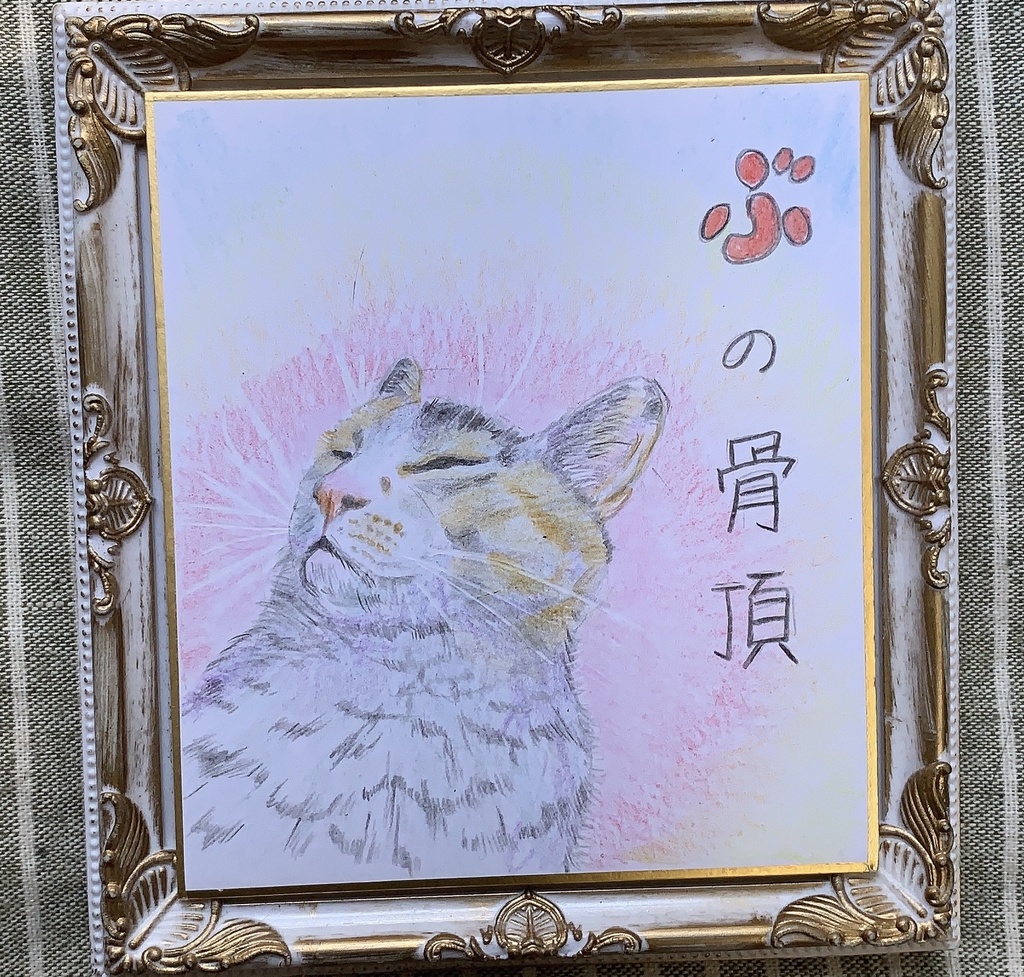 ぶしゅでいいのだねこのえ　　177