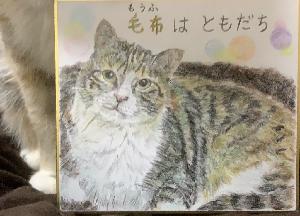 もうふだいすきねこのえ　　235