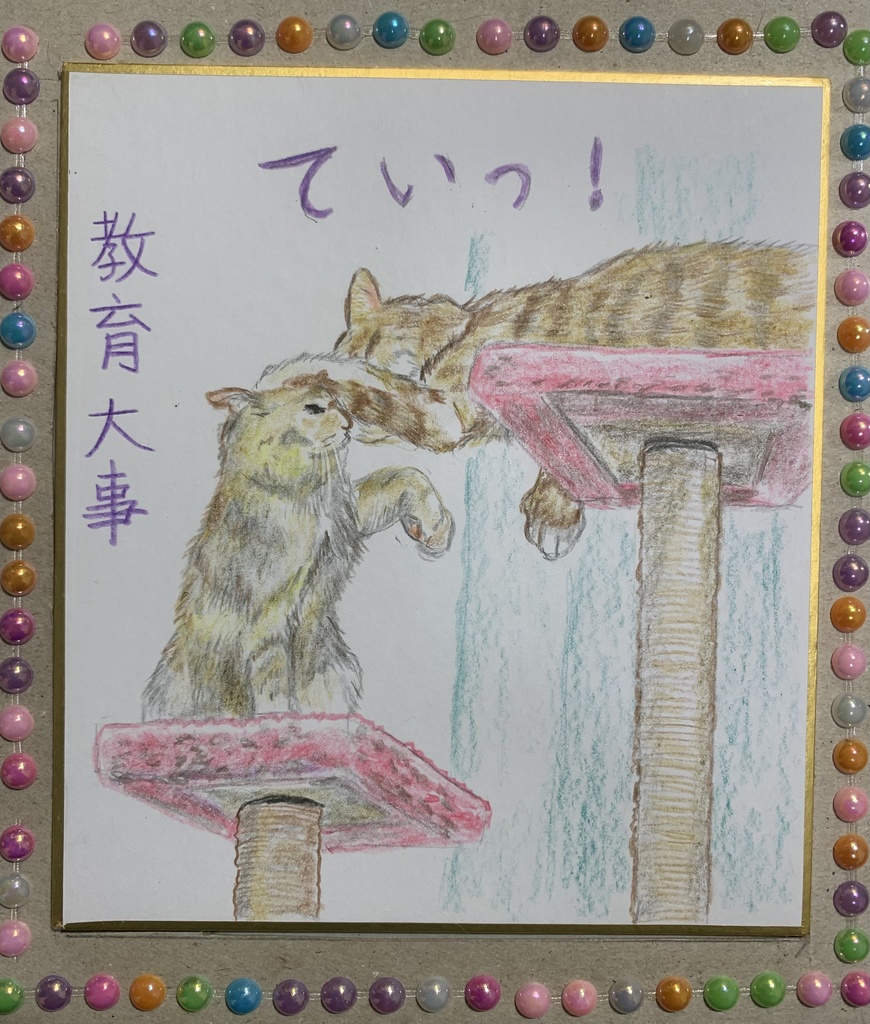 きょういくねこのえ　　258