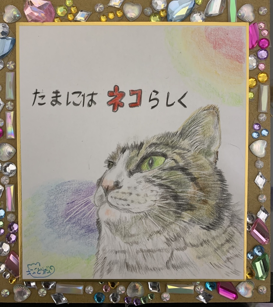 もでるねこのえ　　320