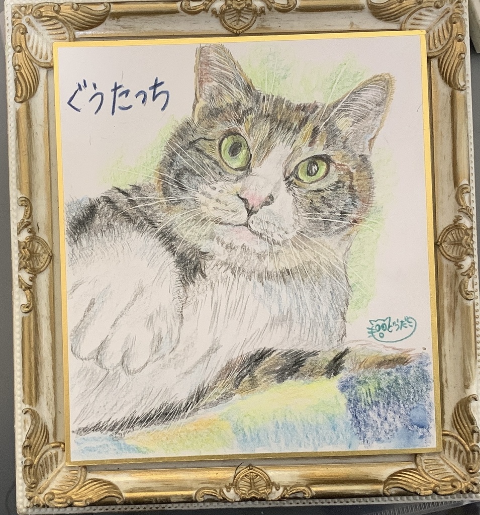 はいたっちねこのえ　　326