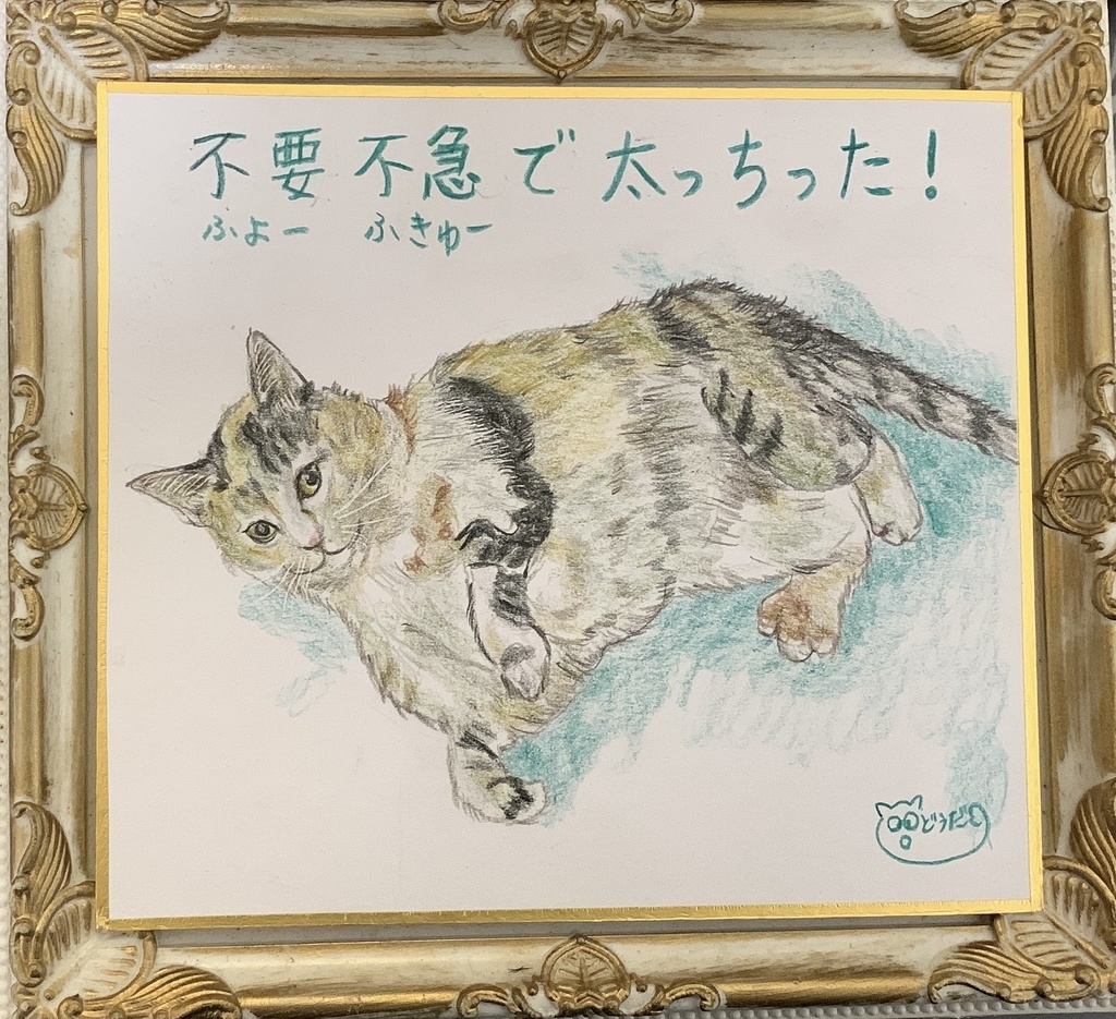 めたぼねこのえ　　327