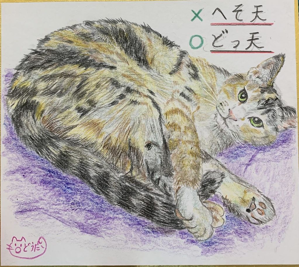 どてんねこのえ　　334