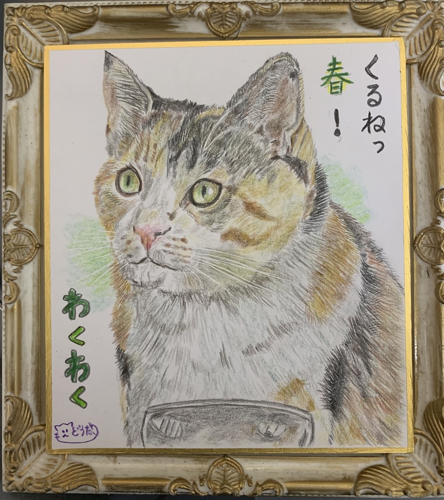 わくわくねこのえ　　335