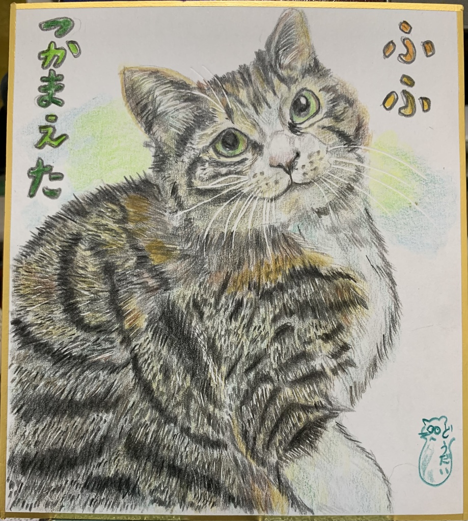 つかまえたねこのえ　361