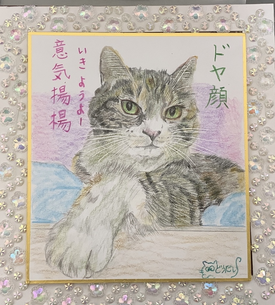 どやがおねこのえ　368