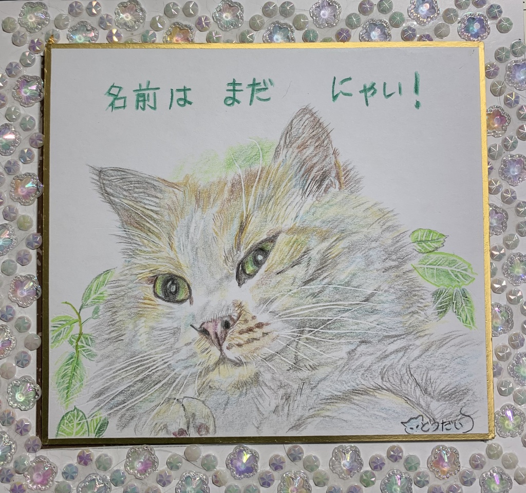 なまえわからんねこのえ　410