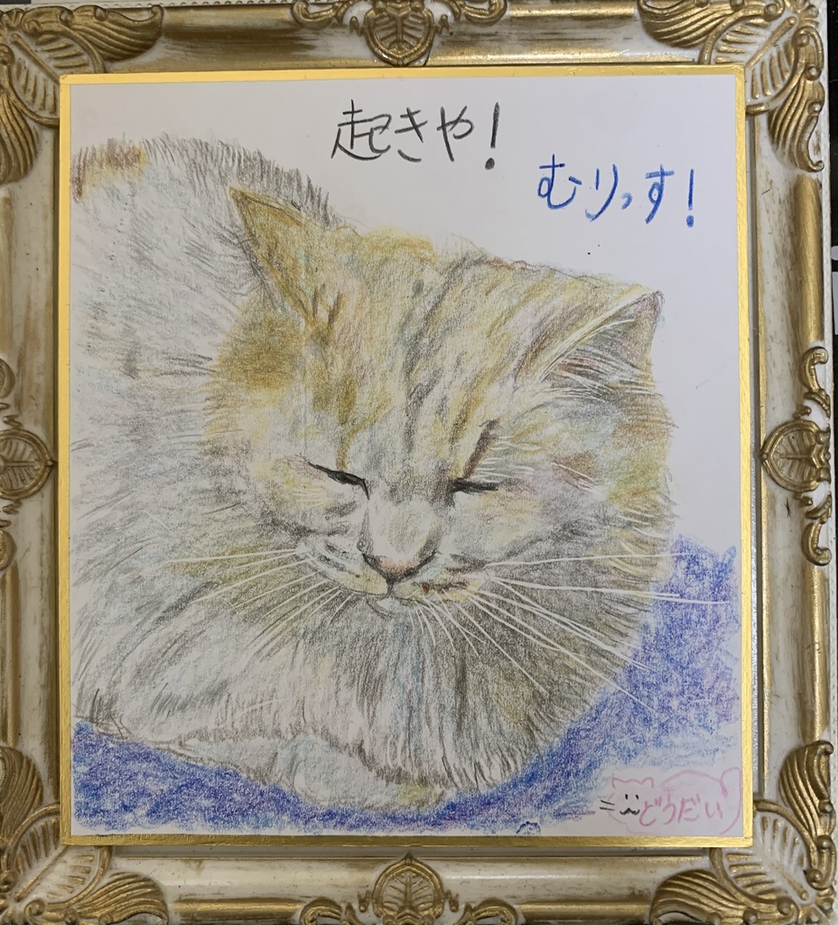 ねむねむねこのえ　424