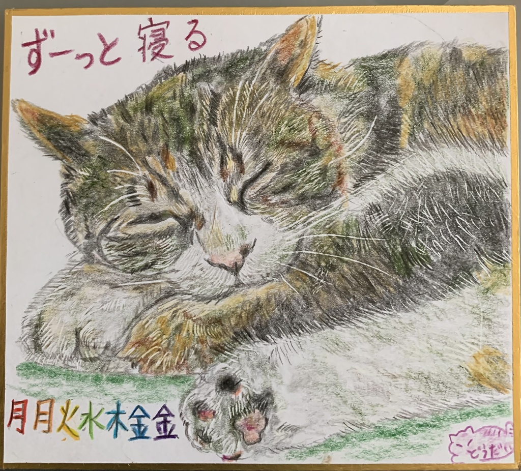 きんむねこのえ　473