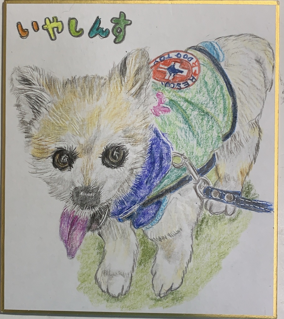 ドローイング パステル画 犬 イヌ ゴールデンレトリバー 絵画 色鉛筆画