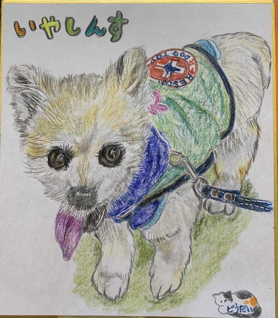 せらぴーいぬのえ　479