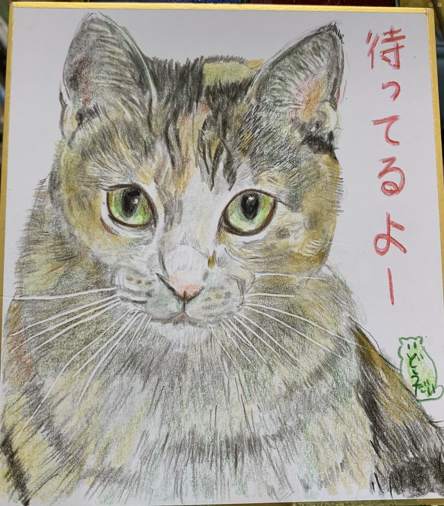 まちどおしいねこのえ　502