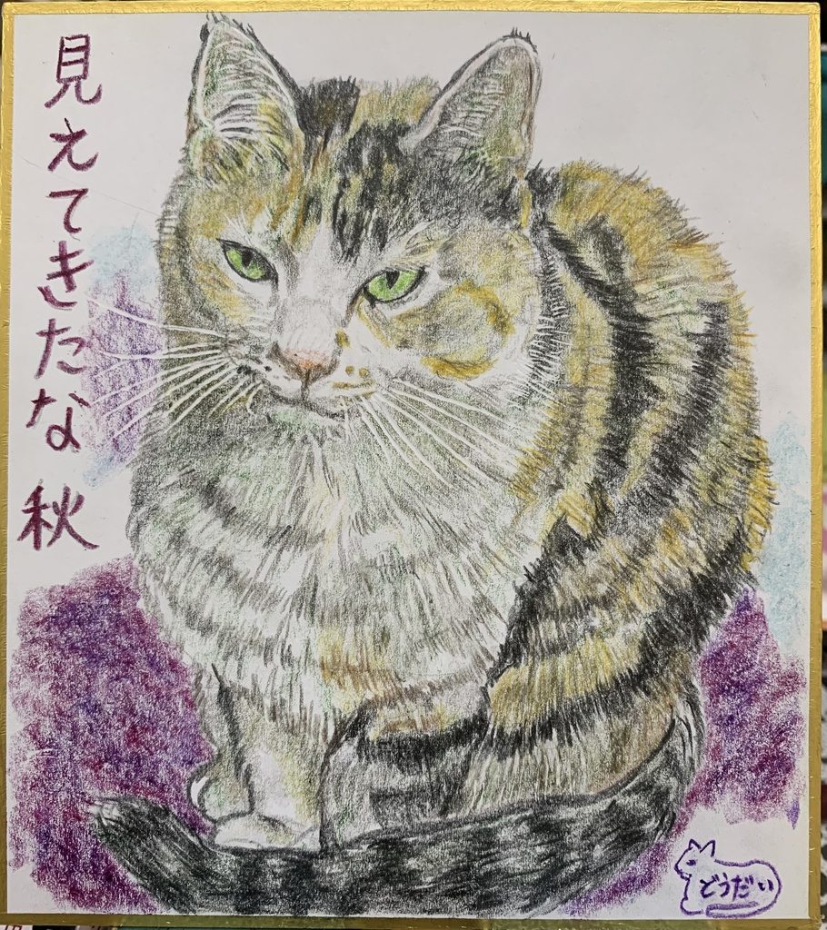 みえてきたねこのえ　525