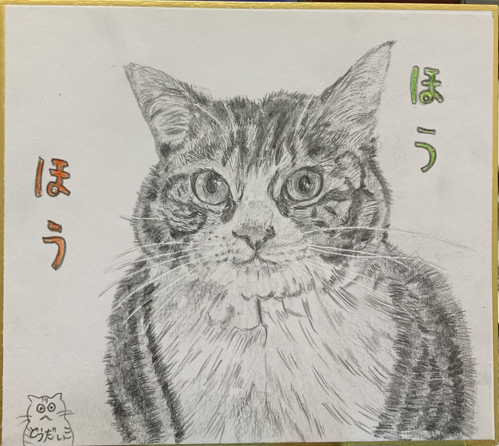 ふくろうぽいねこのえ　522
