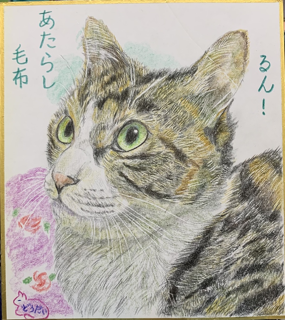 あたらしもうふねこのえ　565