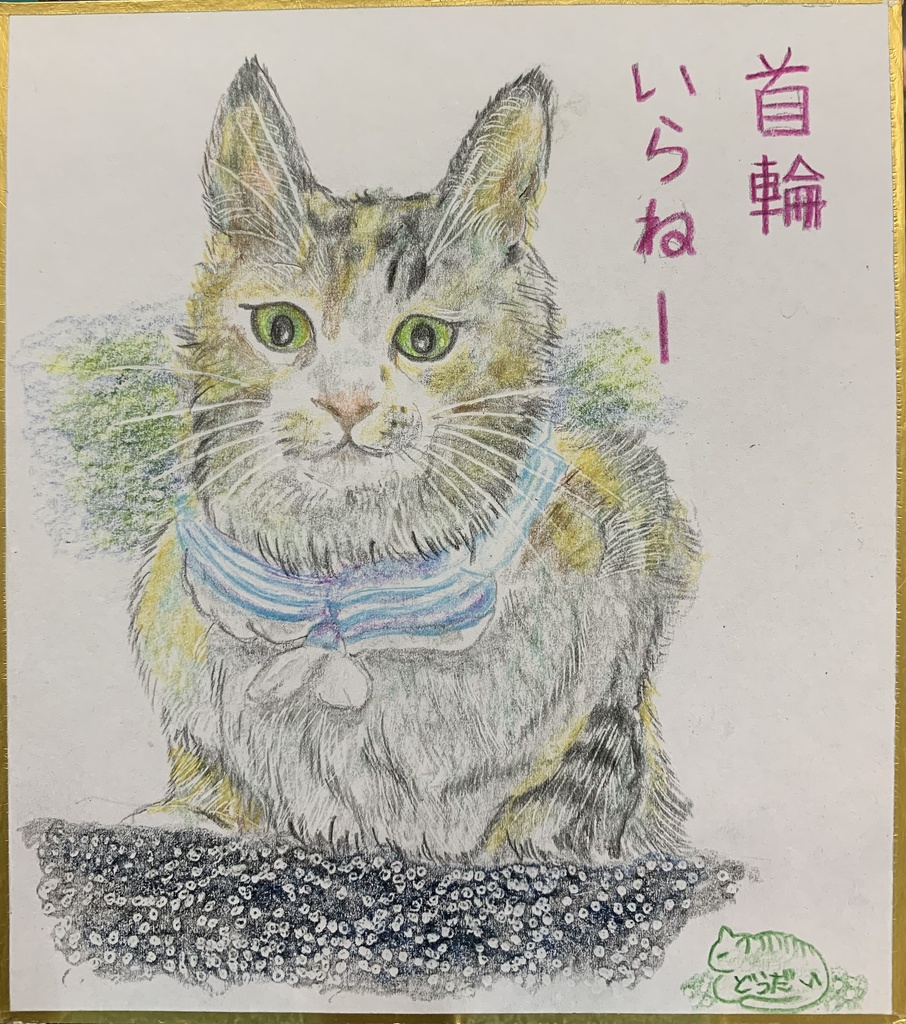 くびわきらいねこのえ　570