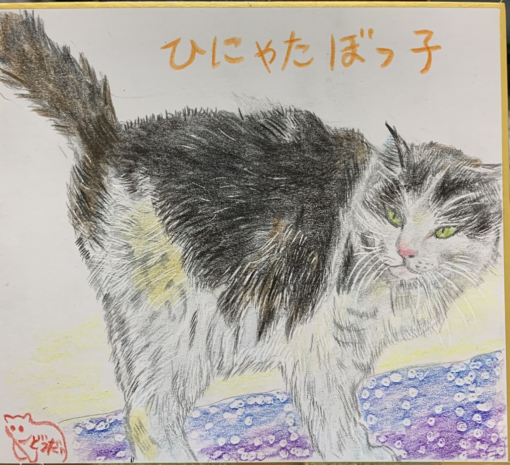 ひにゃたぼっこねこのえ　571