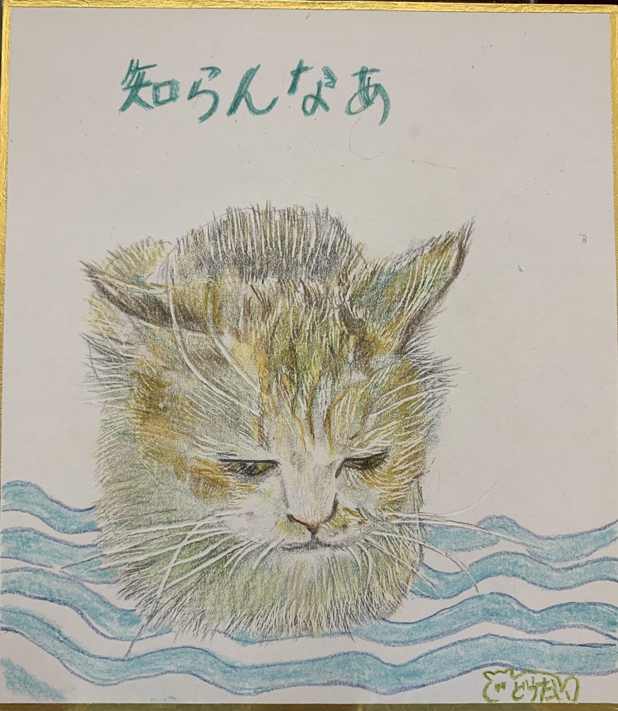 猫の絵 146 水彩画 原画 白猫 - 絵画