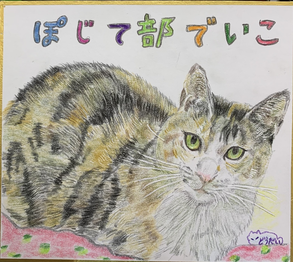 ぽじてぶねこのえ　591