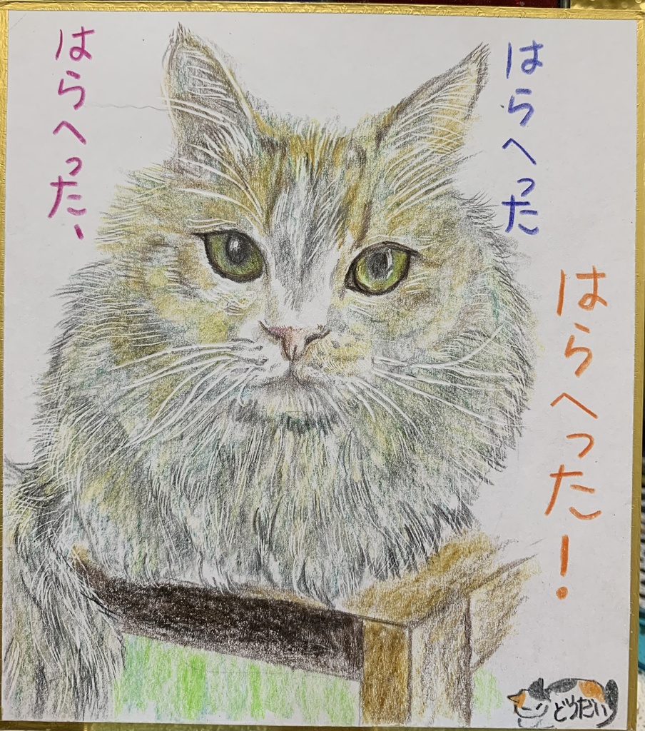 はらへりねこのえ　596