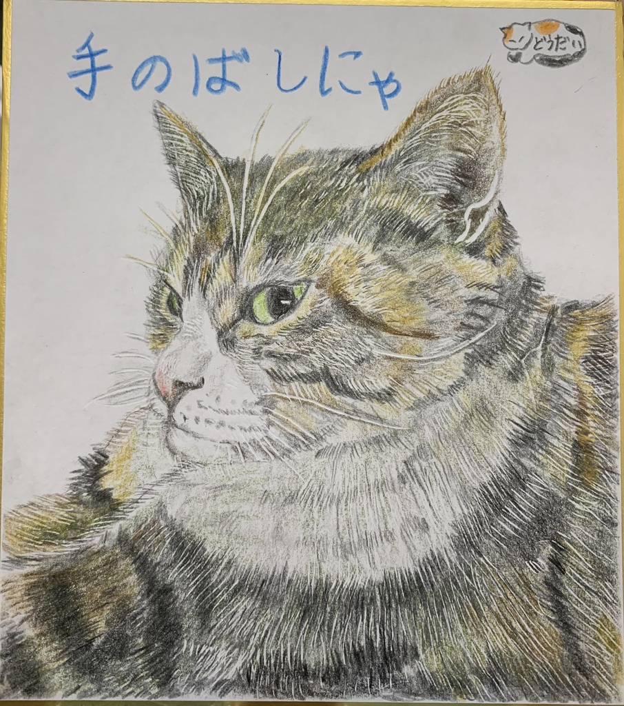 てのばしねこのえ　602