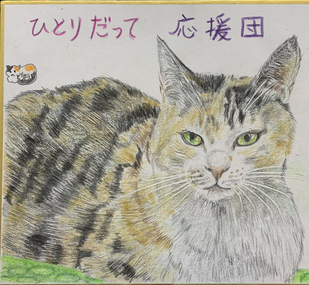 ぼっちおうえんたいねこのえ　604