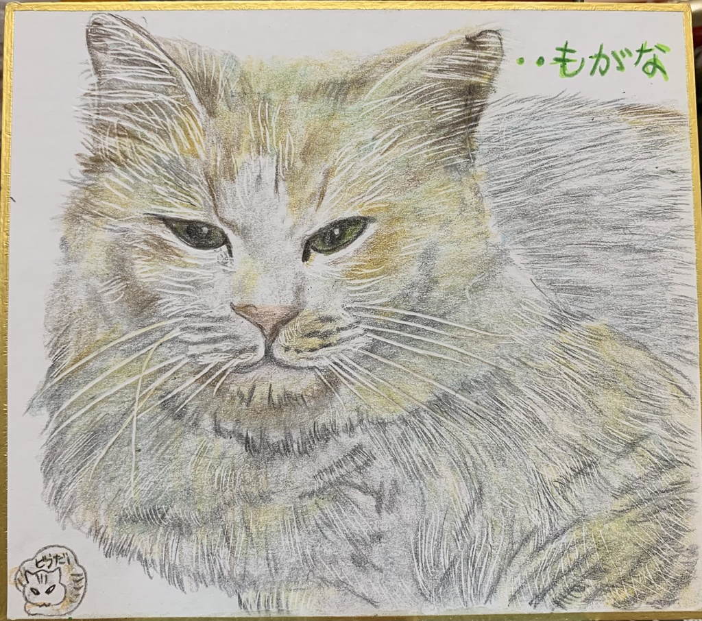 No622ドローイング 水彩 立ち猫 【海外 - 絵画