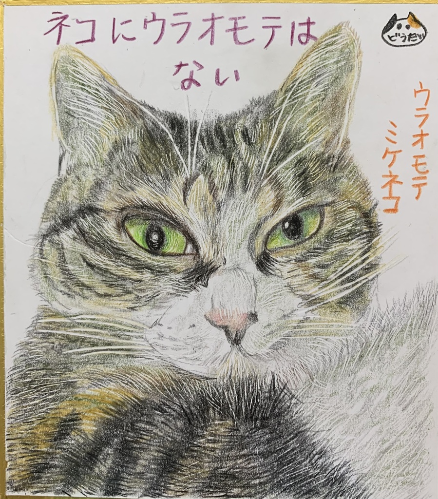 めずらしねこのえ　623