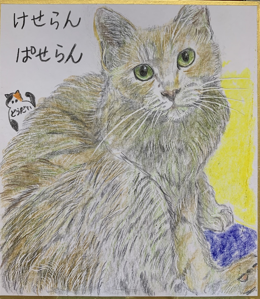 けせらんぱせらんねこのえ　629